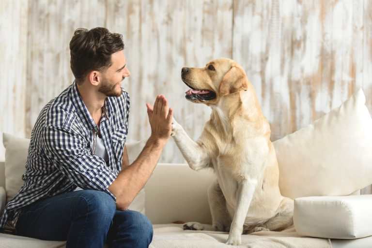 Conviver com um pet pode trazer surpreendentes benefícios para sua vida