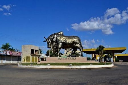 O Monumento Boi de Ouro em Anicuns, no Centro-Oeste, símbolo da pecuária local, com os imponentes estádios ao fundo, destaca o contraste entre tradição e modernidade na cidade. Foto: Prefeitura Municipal