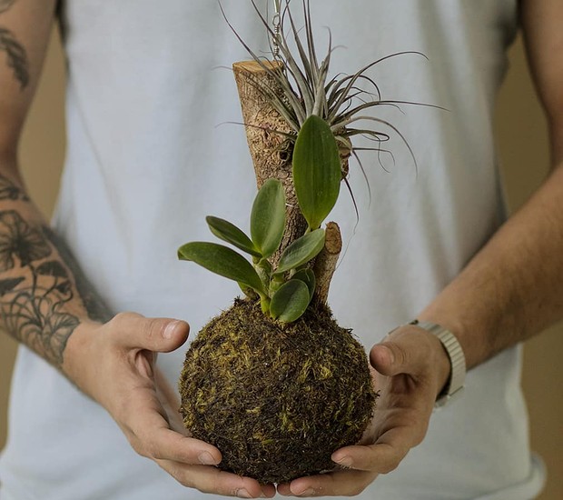 Goiânia recebe a 3ª edição do Bazar Estação das Plantas no Shopping Estação Goiânia, com entrada gratuita e variedades de plantas a partir de R$ 10