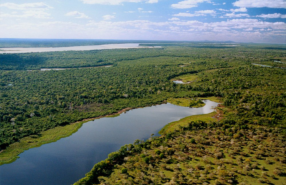 A Ilha do Bananal é a maior ilha fluvial do mundo. Crédito: Governo de Goiás