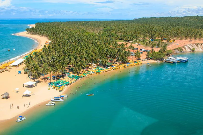 Praia do Gunga em Maceió é sensacional. Foto: Sites Praias de Maceió