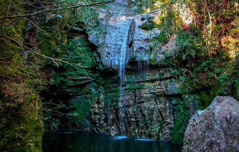Descobrimos uma belíssima cachoeira em Goiás que esconde um cenário paradisíaco e está atraindo turistas do Brasil inteiro