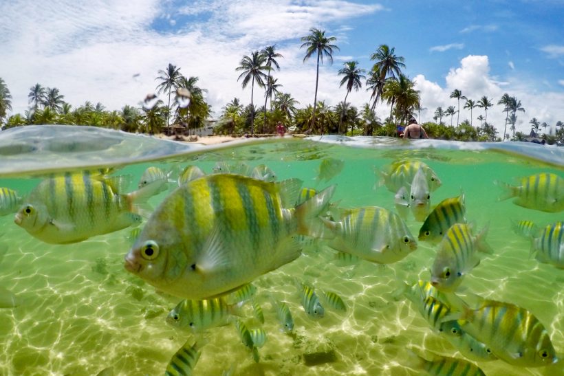 praia Bahia