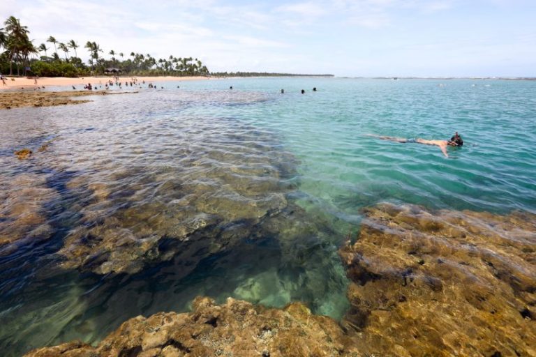 Este deslumbrante paraíso tropical no sul da Bahia vai encantar todos os goianos