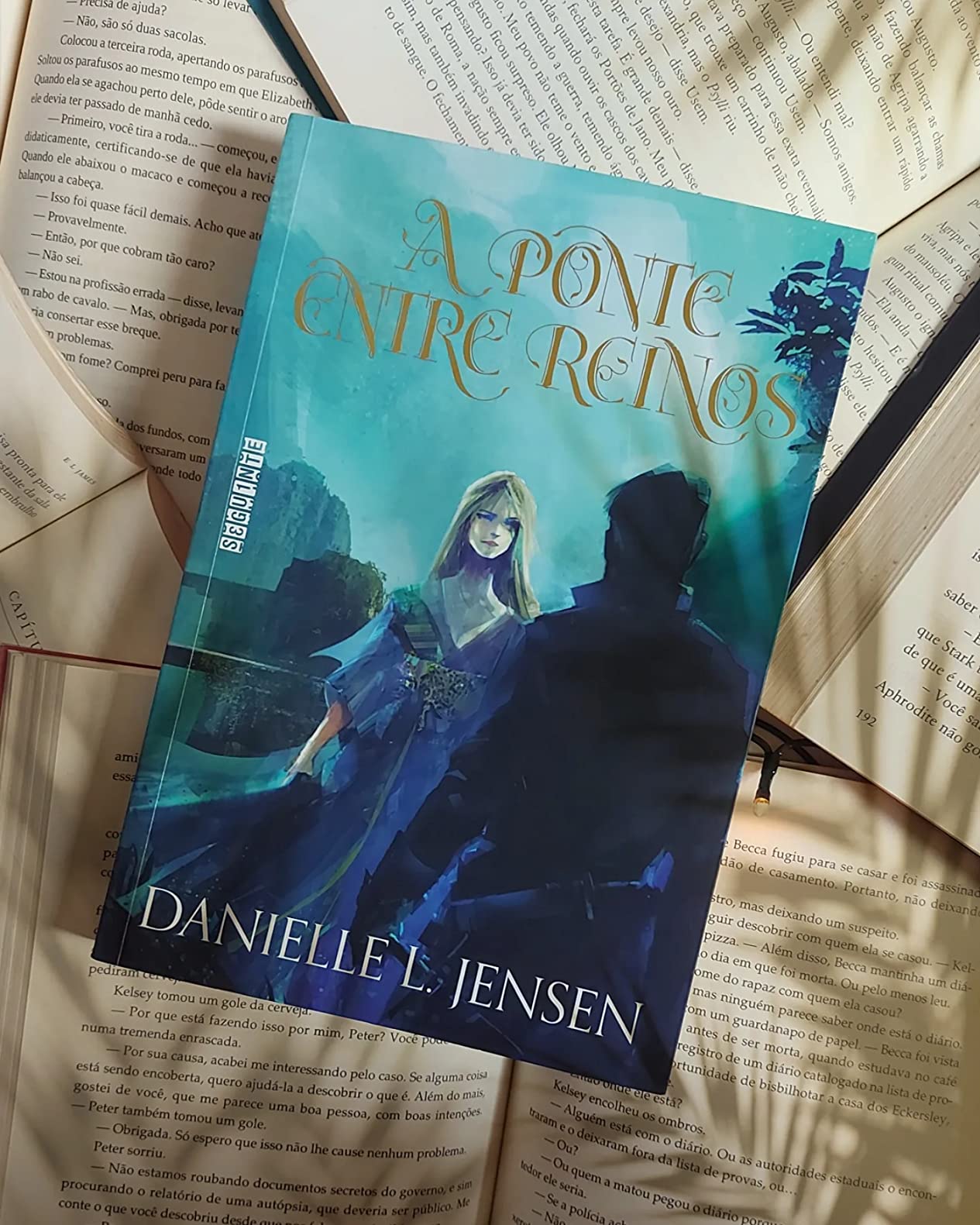 A ponte entre Reinos - Danielle L. Jensen