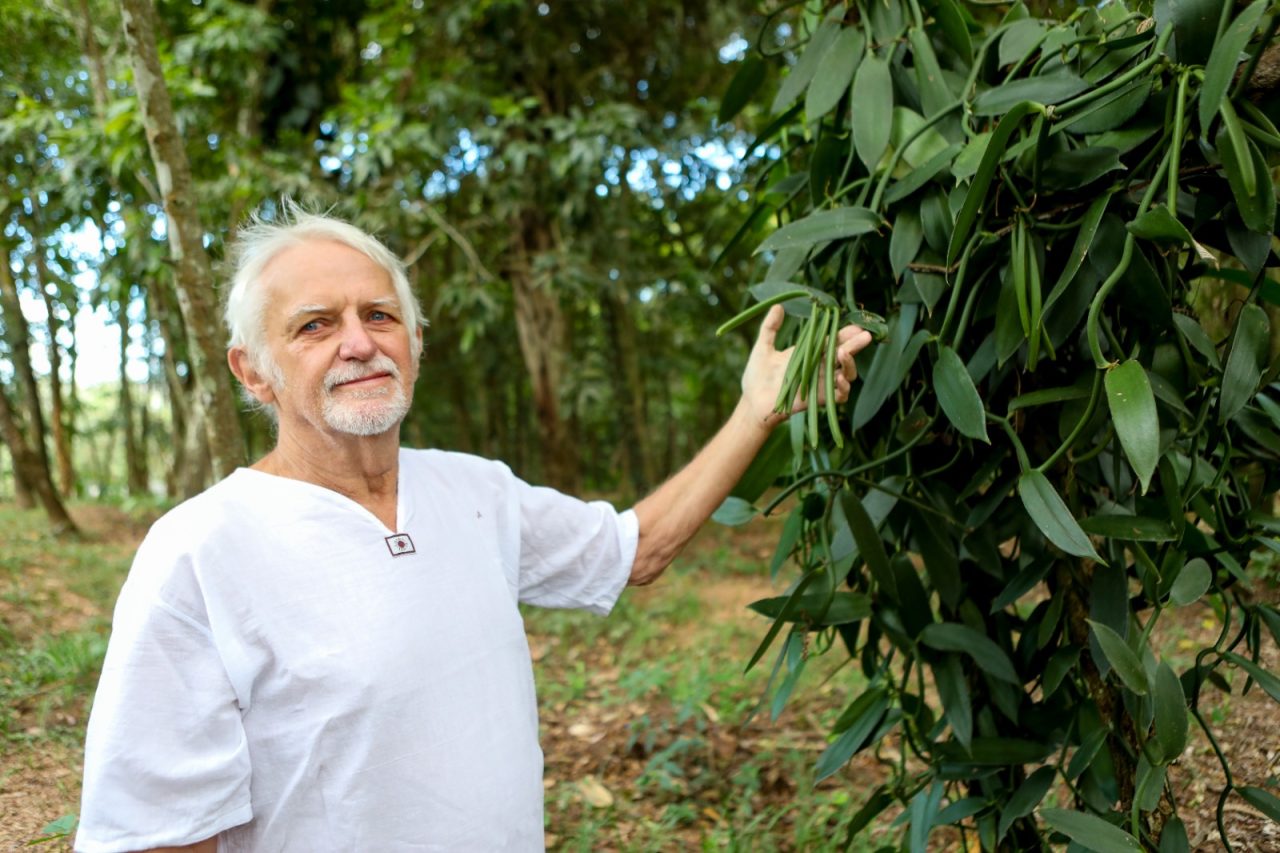 Senar Goiás baunilha Cocalzinho de Goiás Daniel Briand