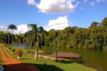 cerrado goiânia bioma