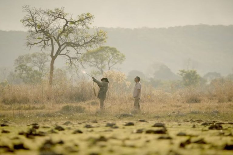 Esse filme foi gravado na Chapada dos Veadeiros e está no Festival de Gramado