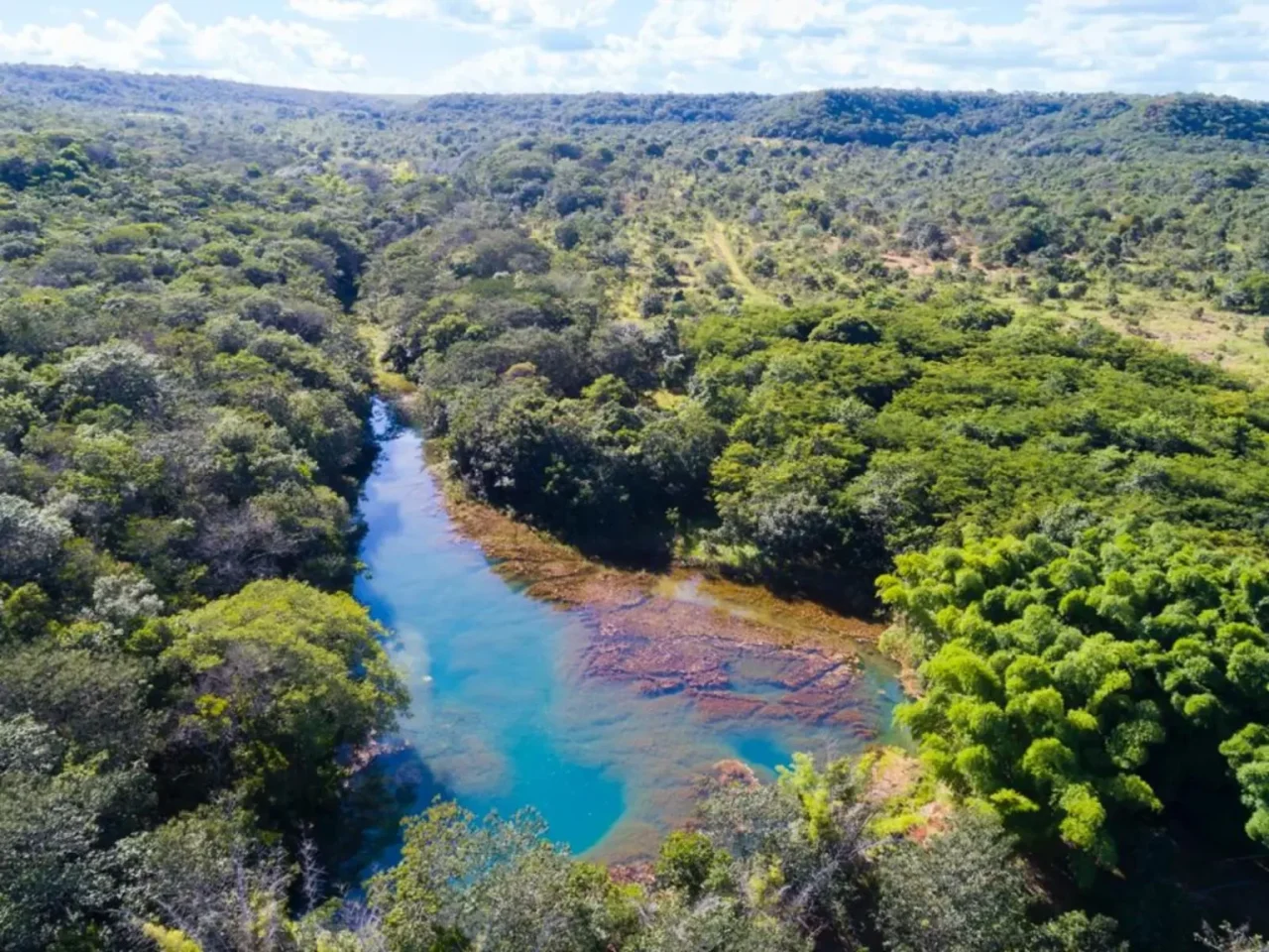 juntos pelo araguaia recuperacao area degradada 1536x1152 1