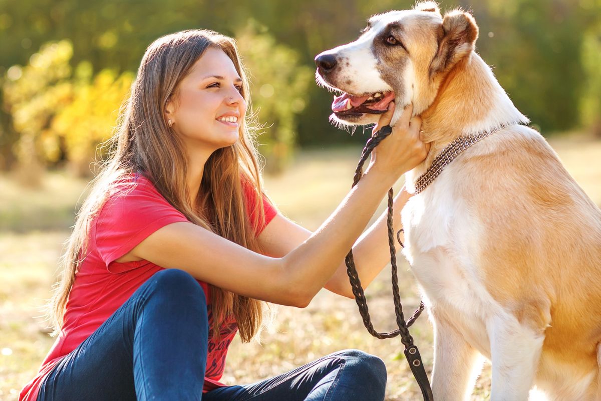 significados nomes cachorros