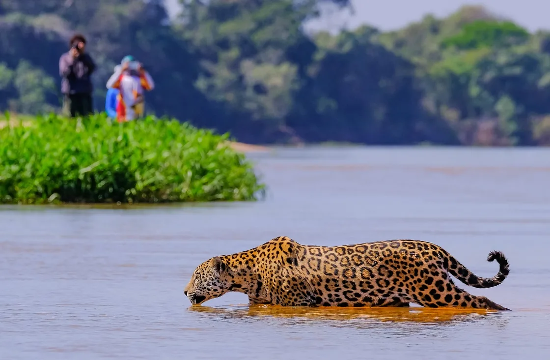 viagem com crianças