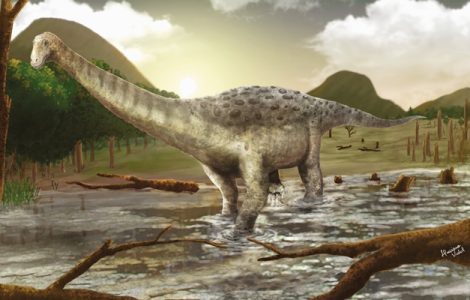 pesquisadores da ufg descobrem nova especie de dinossauro