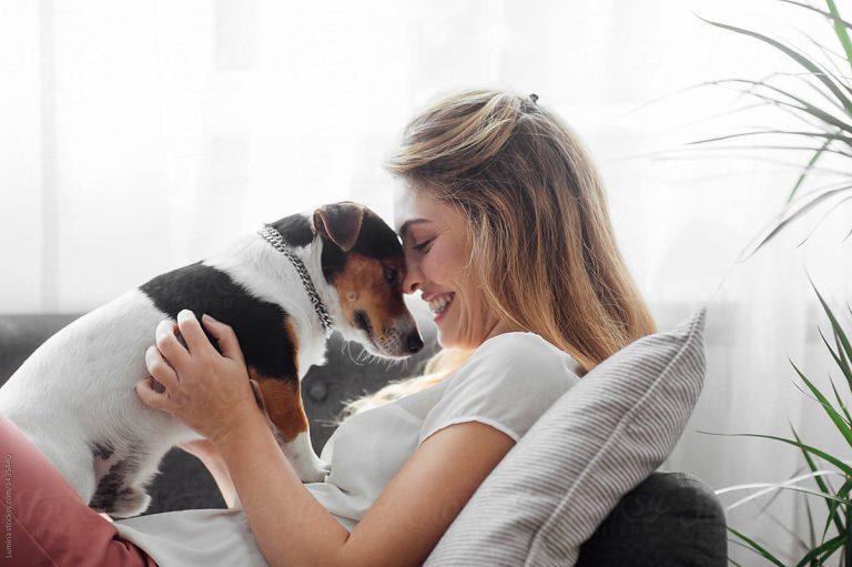6 dicas para seu cachorro envelhecer de maneira saudável e viver mais tempo ao seu lado