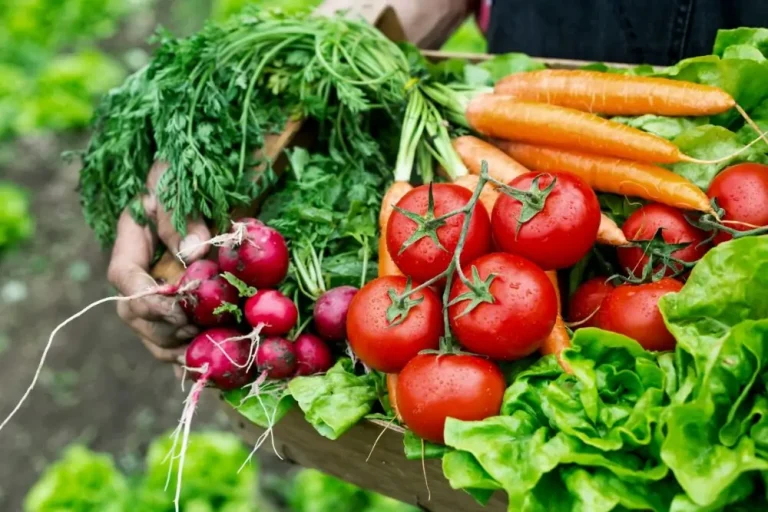Esse vegetal que você (provavelmente) tem na geladeira é santo remédio para insônia