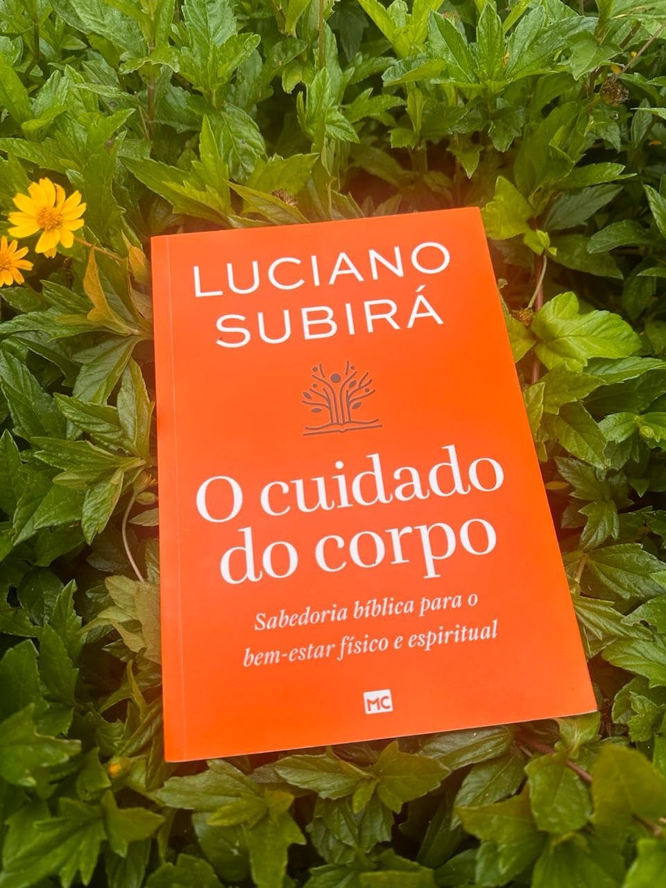 O cuidado do corpo: sabedoria bíblica para o bem-estar físico e espiritual - Luciano Subirá