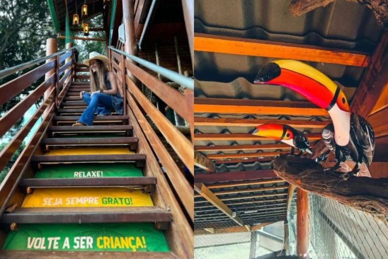 Pacata cidade de Goiás abriga a maior casa na árvore do Brasil