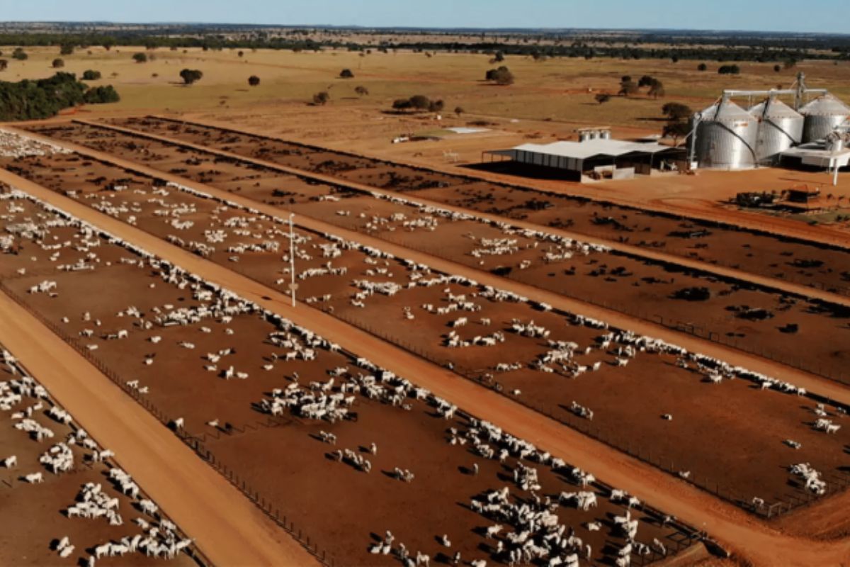 maior fazenda Brasil