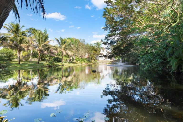 Lado rural escondido e fascinante da Flórida está conquistando o coração dos goianos