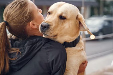 sinais cachorro feliz