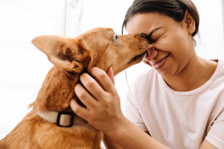Como cães reconhecem seus tutores mesmo após anos?