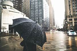 cuidados chuva negra