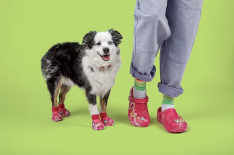 Que tal sair combinando com o seu Pet? Veja esse super lançamento da Crocs