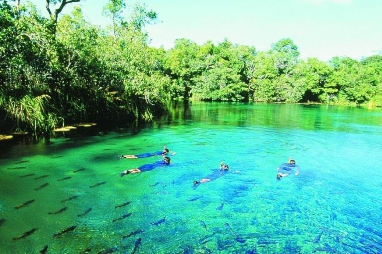 4 parques naturais para você visitar na ‘semana do saco cheio’ (dois estão em Goiás)
