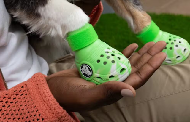 Lançamento Pet Crocs