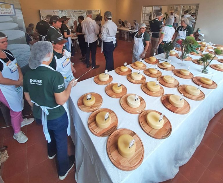 Conheça o queijo goiano que ganhou medalha de ouro em concurso internacional
