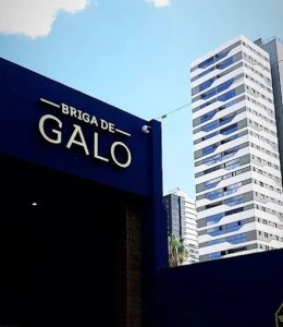 Briga de Galo