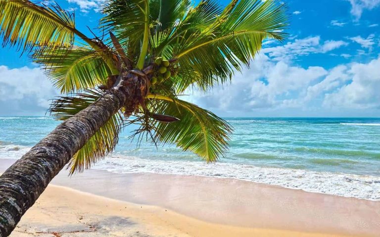 Cidade do nordeste brasileiro onde o tempo abraça o mar é a preferida dos goianos para o verão 2025