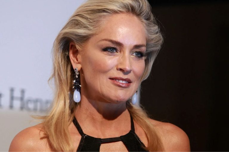 Você precisa ver Sharon Stone brilhando neste drama emocionante da Netflix (não perca por nada, viu?)