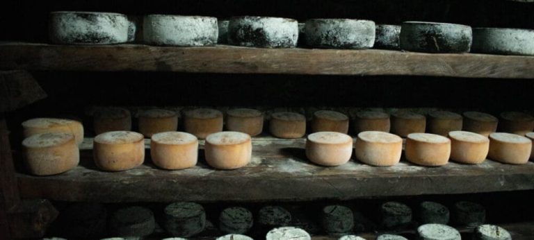 Goiás possui a única caverna de maturação de queijo aprovada no Brasil