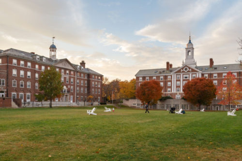 Oportunidade! Harvard oferece mais de 130 cursos gratuitos em diversas áreas (tudo online)