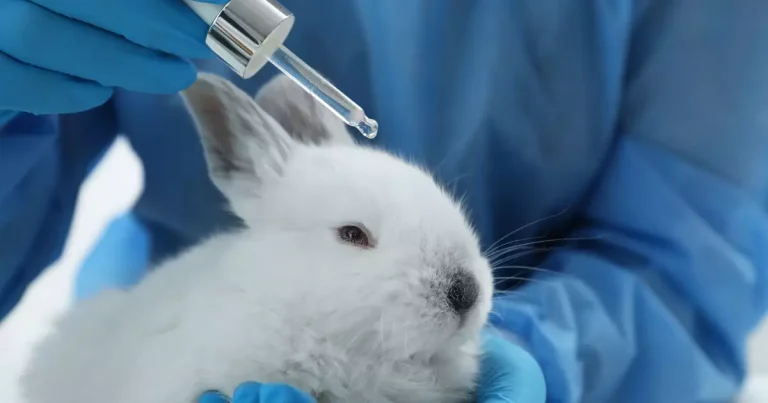 Brasil sanciona lei que restringe testes em animais