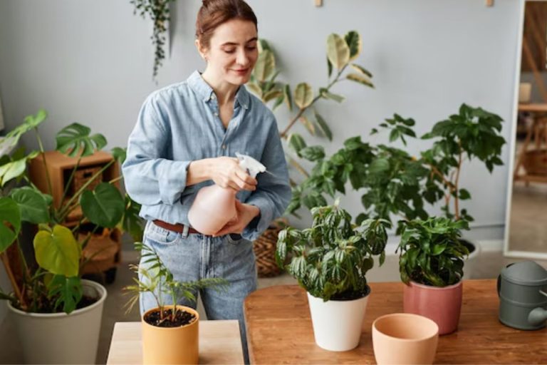 Esse é o ingrediente que suas plantas adoram (não é casca de ovo, esterco ou borra de café)