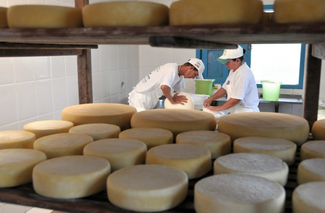 Goiás avança na produção de queijo artesanal e cresce interesse pela formalização