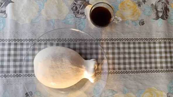 Profissionalização da produção de queijo artesanal