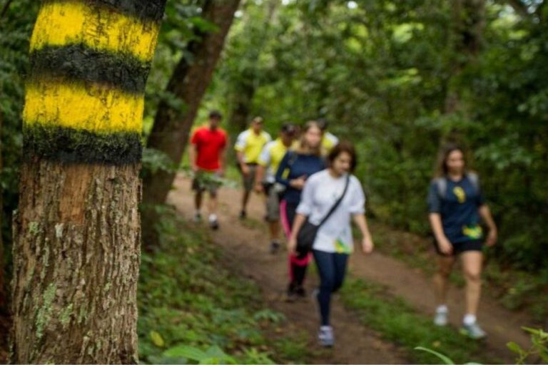 3 passeios imperdíveis em Goiás que fogem do convencional (você vai amar!)