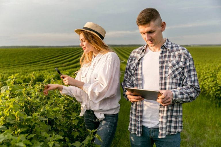 Os 20 municípios mais ricos do Brasil no agro (3 estão em Goiás)