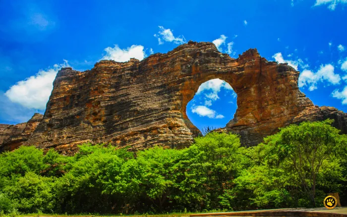 10 razões para se apaixonar pelo Piauí