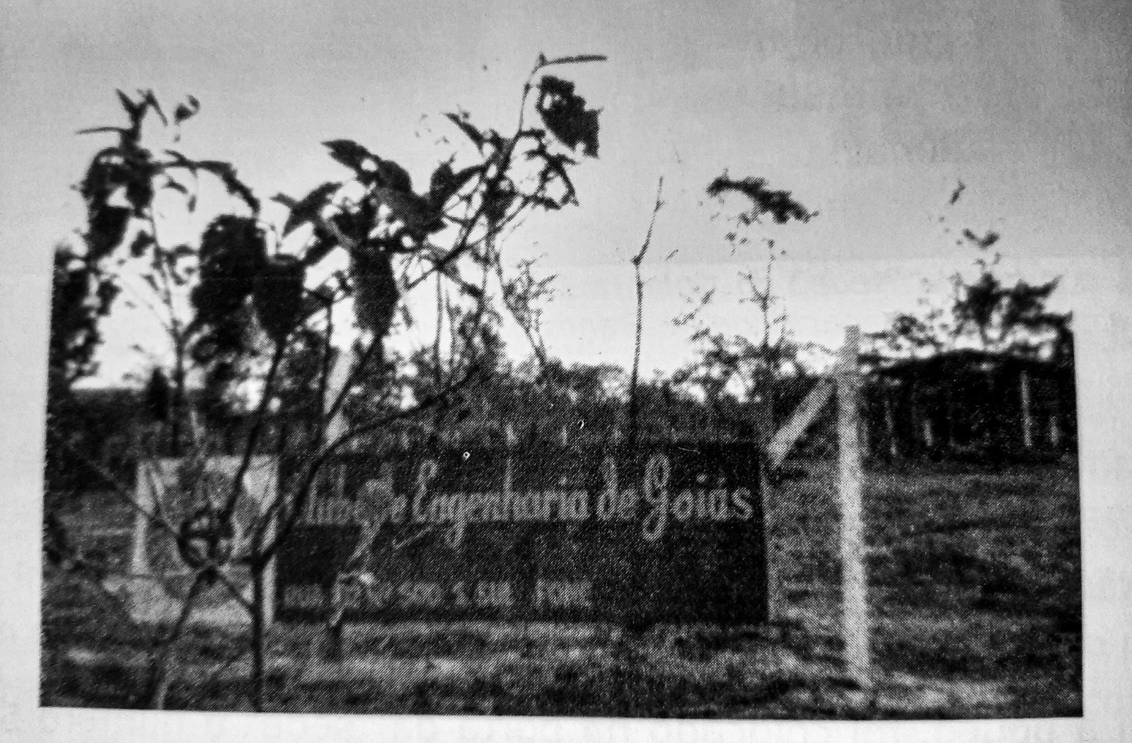 Clube de Engenharia de Goiás