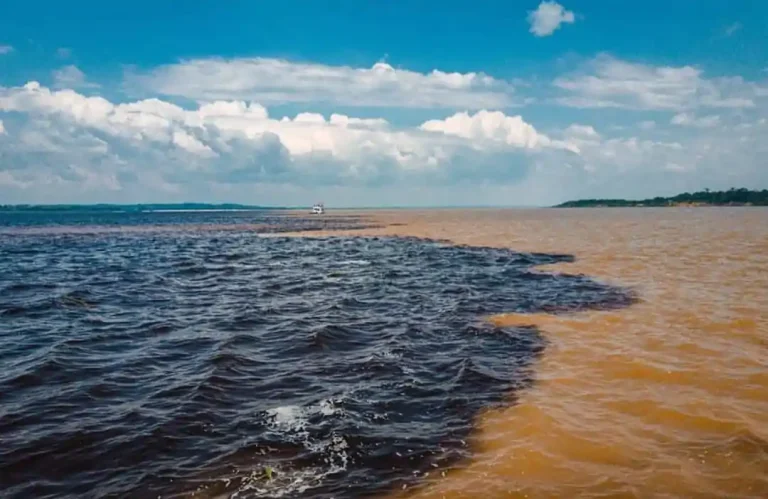 10 motivos extraordinários para explorar o Amazonas
