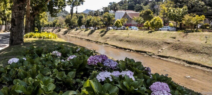 Estrada das Hortênsias 