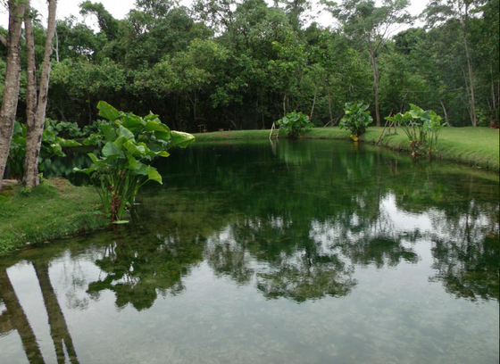 Lago Azul Vila Propício