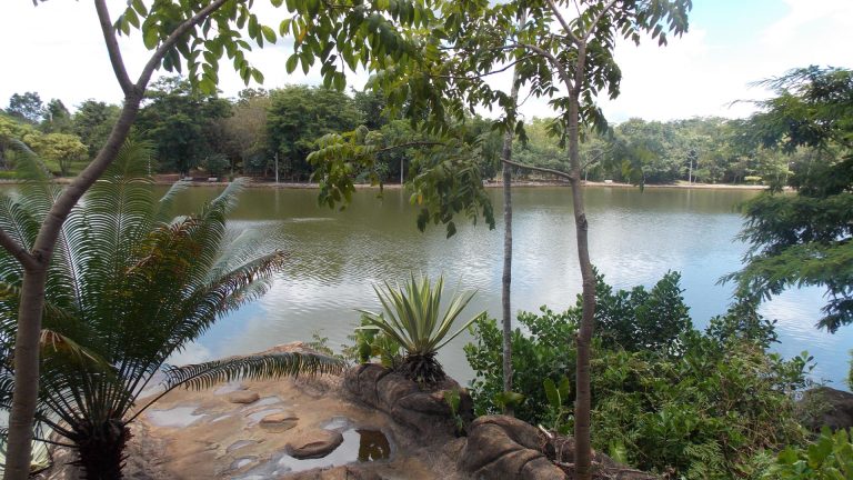 Milhares de turistas vêm pescar nesse paraíso em Goiás com praias brancas e natureza de tirar o fôlego