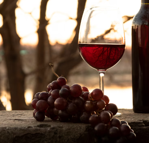 4 vinícolas goianas para conhecer, beber e amar
