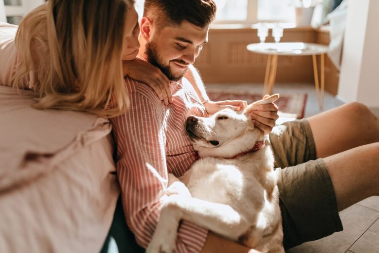 Estudo revela que 70% dos millennials estão preferindo pets a filhos; entenda
