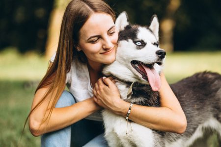 propostas Senado para os pets no Brasil