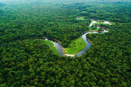 O encontro das águas e da floresta cria um dos cenários mais belos do Brasil.